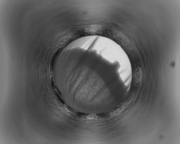 X0000098170420200805151121