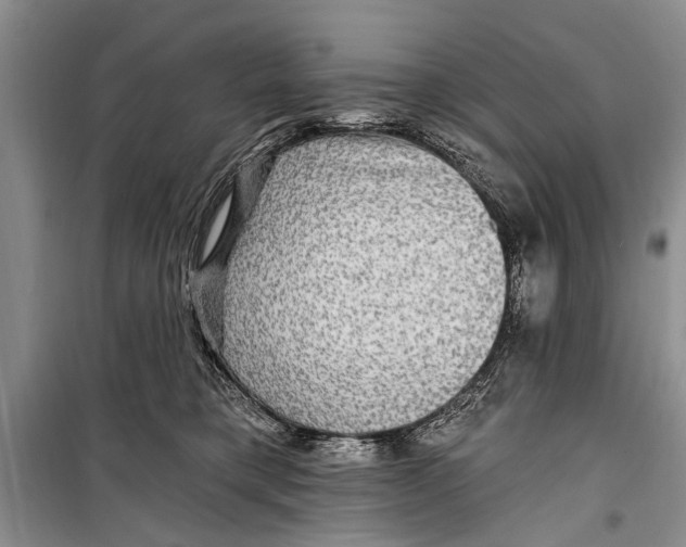 X0000098170421200805151121