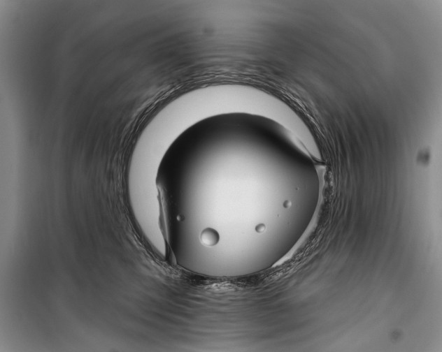 X0000098170423200805151121