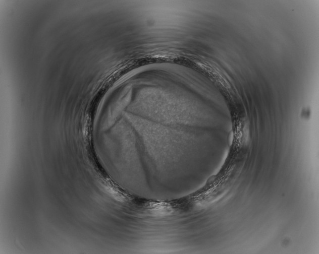 X0000098170424200805151121