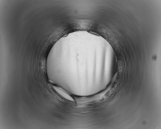 X0000098170425200805151121