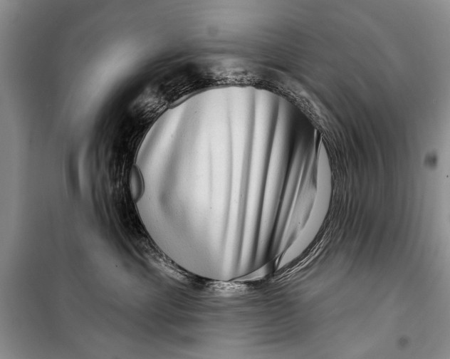 X0000098170429200805151121