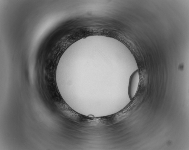 X0000098170430200805151121