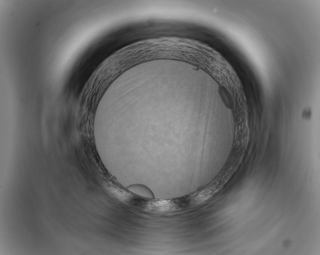 X0000098170431200805151121