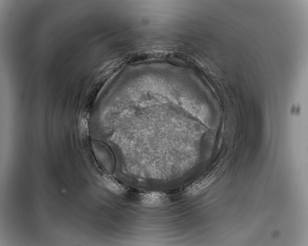 X0000098170432200805151121