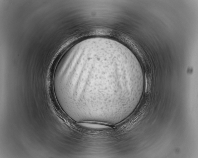 X0000098170435200805151120