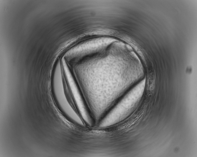 X0000098170437200805151120