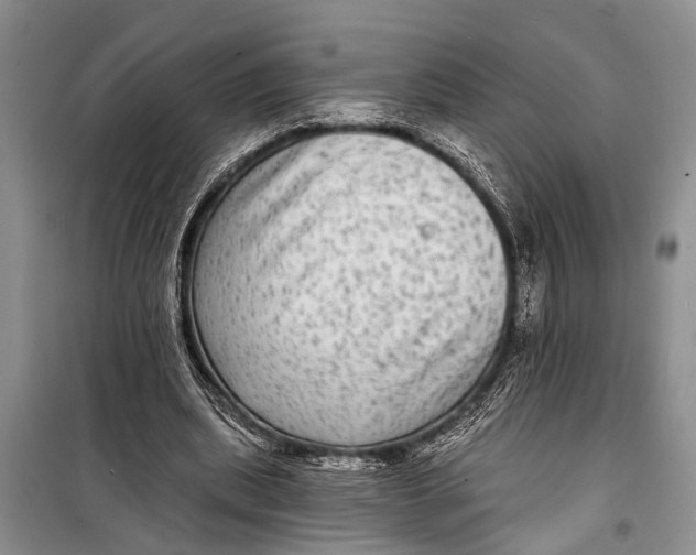 X0000098170439200805151120