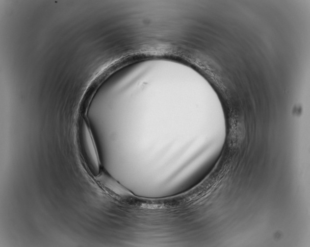 X0000098170440200805151120