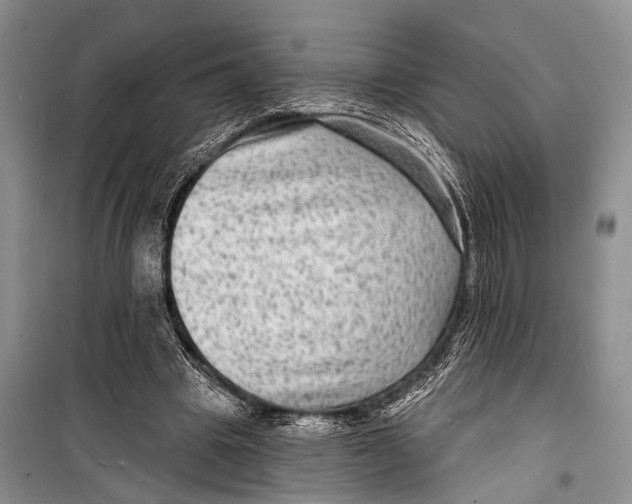 X0000098170441200805151120