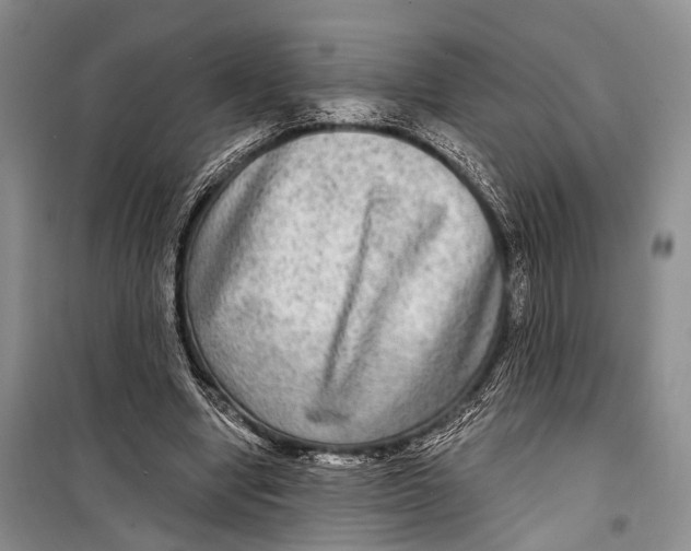 X0000098170442200805151120