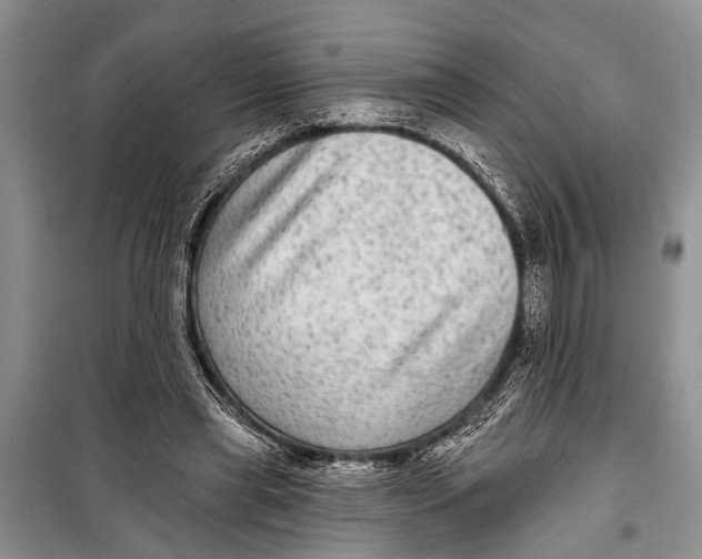 X0000098170445200805151120