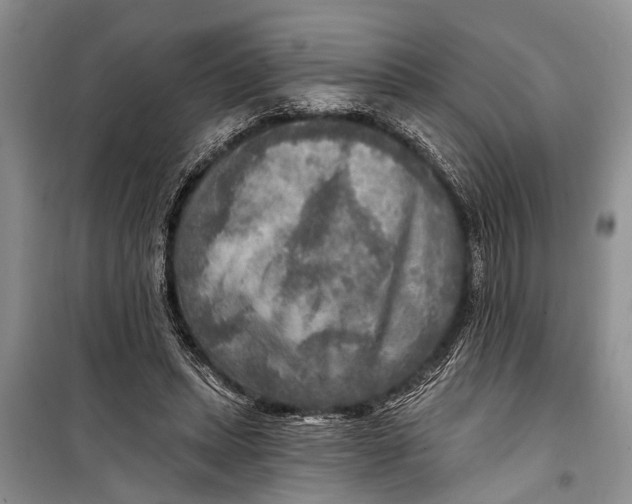 X0000098170447200805151120