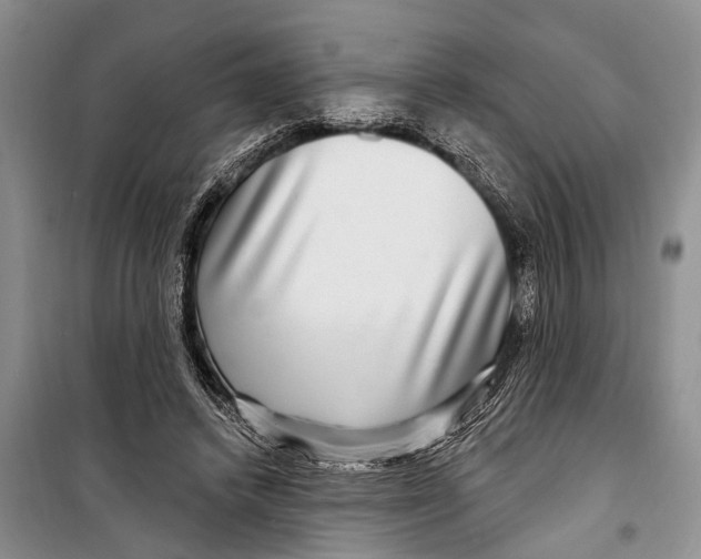 X0000098170448200805151120