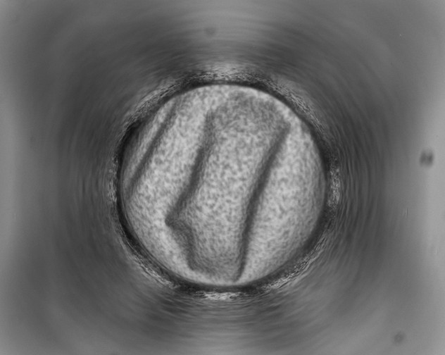 X0000098170450200805151120