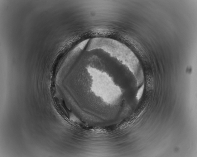 X0000098170451200805151120