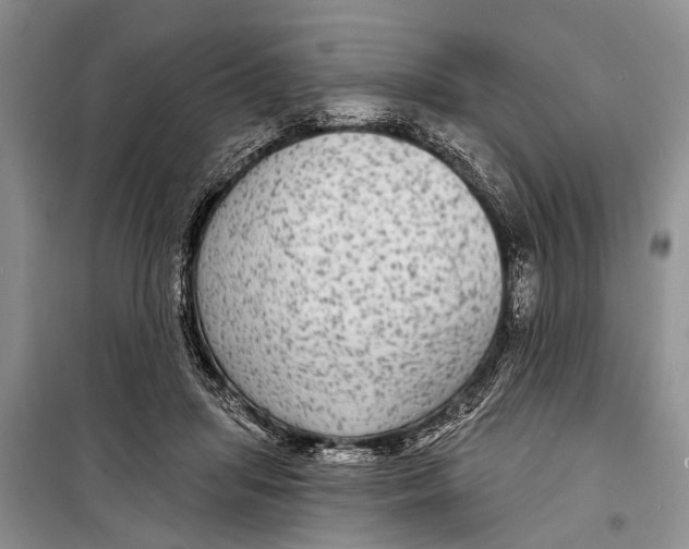 X0000098170455200805151120