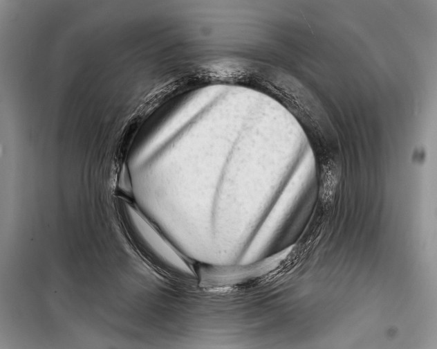 X0000098170456200805151121