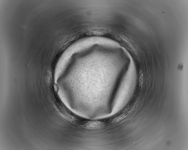 X0000098170459200805151121