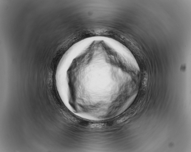 X0000098170461200805151121