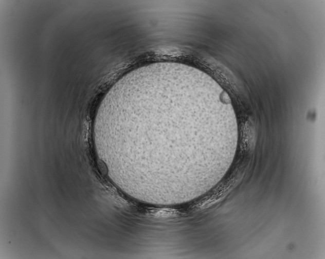 X0000098170463200805151121