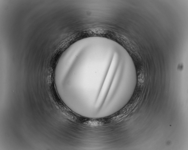 X0000098170464200805151121