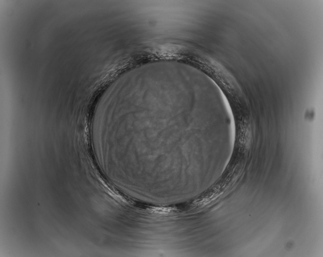 X0000098170465200805151121