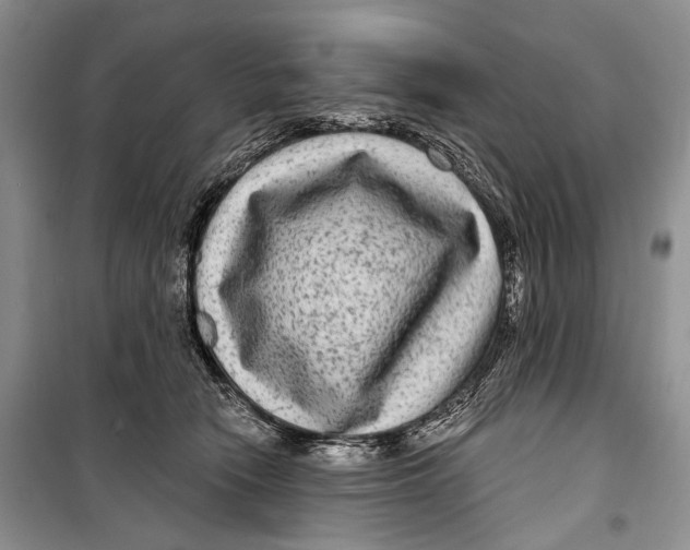 X0000098170466200805151121