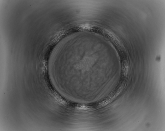 X0000098170467200805151121