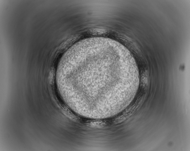 X0000098170468200805151121