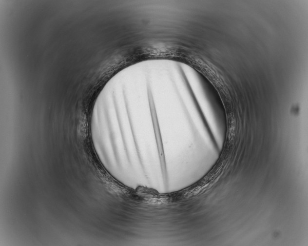 X0000098170469200805151121