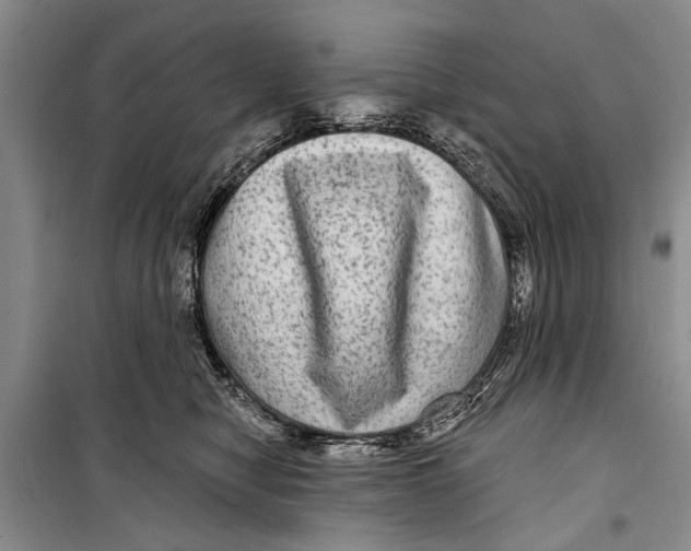 X0000098170470200805151121