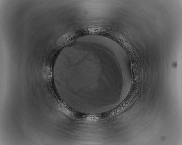 X0000098170471200805151121