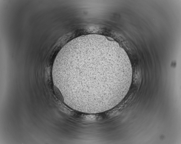 X0000098170473200805151121