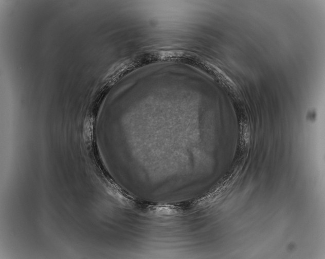 X0000098170475200805151121