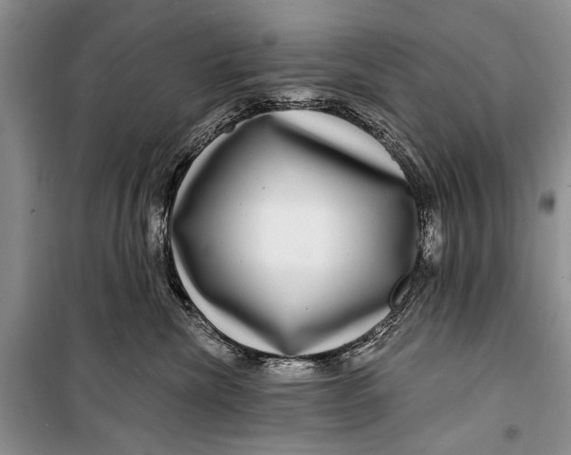 X0000098170476200805151121