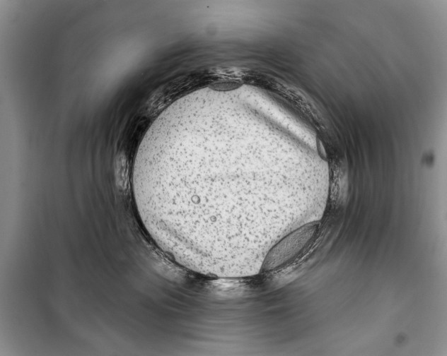 X0000098170477200805151121