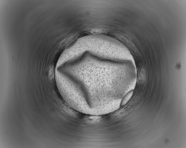 X0000098170478200805151121