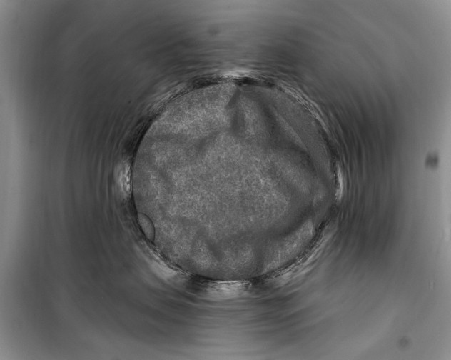 X0000098170479200805151121