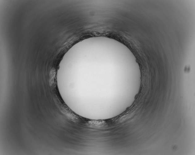 X0000098170480200805151121