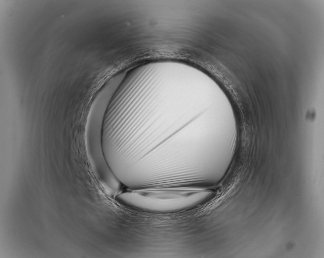 X0000098170481200805151120