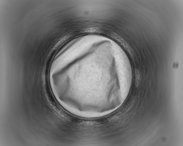 X0000098170482200805151120