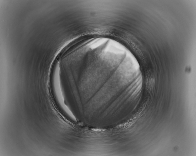 X0000098170484200805151120