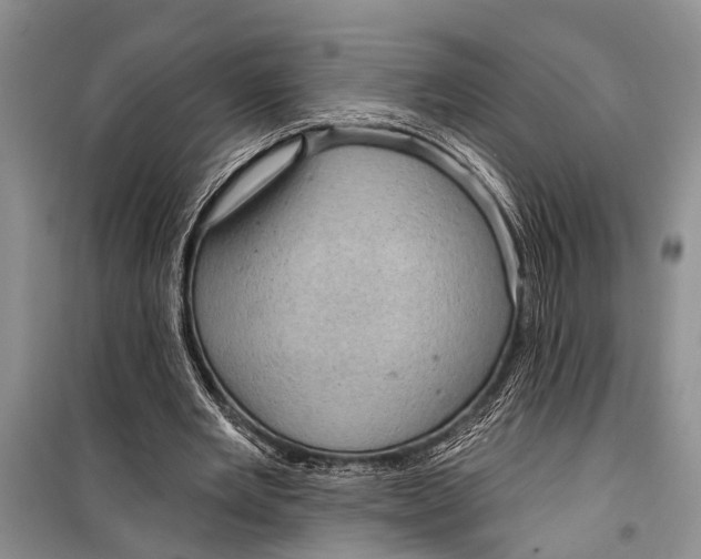 X0000098170485200805151120