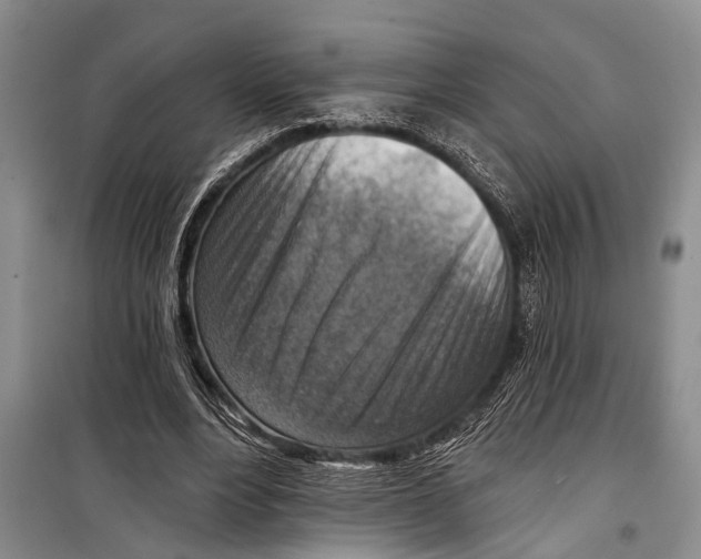 X0000098170488200805151120