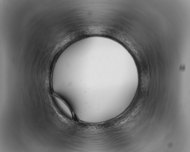 X0000098170489200805151120