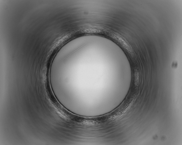 X0000098170490200805151120