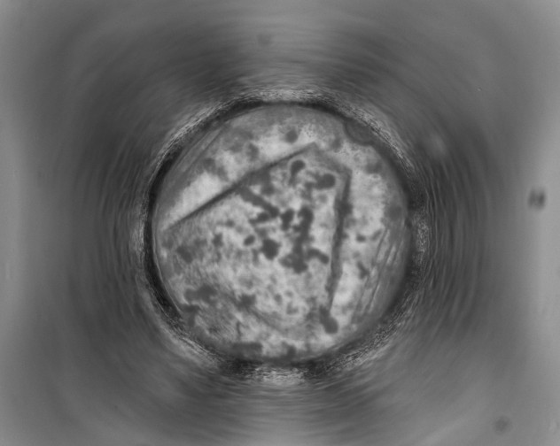 X0000098170491200805151120