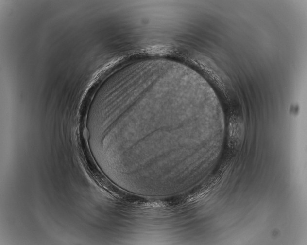 X0000098170492200805151120