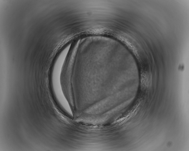 X0000098170493200805151120